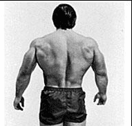 Joeri Zwart